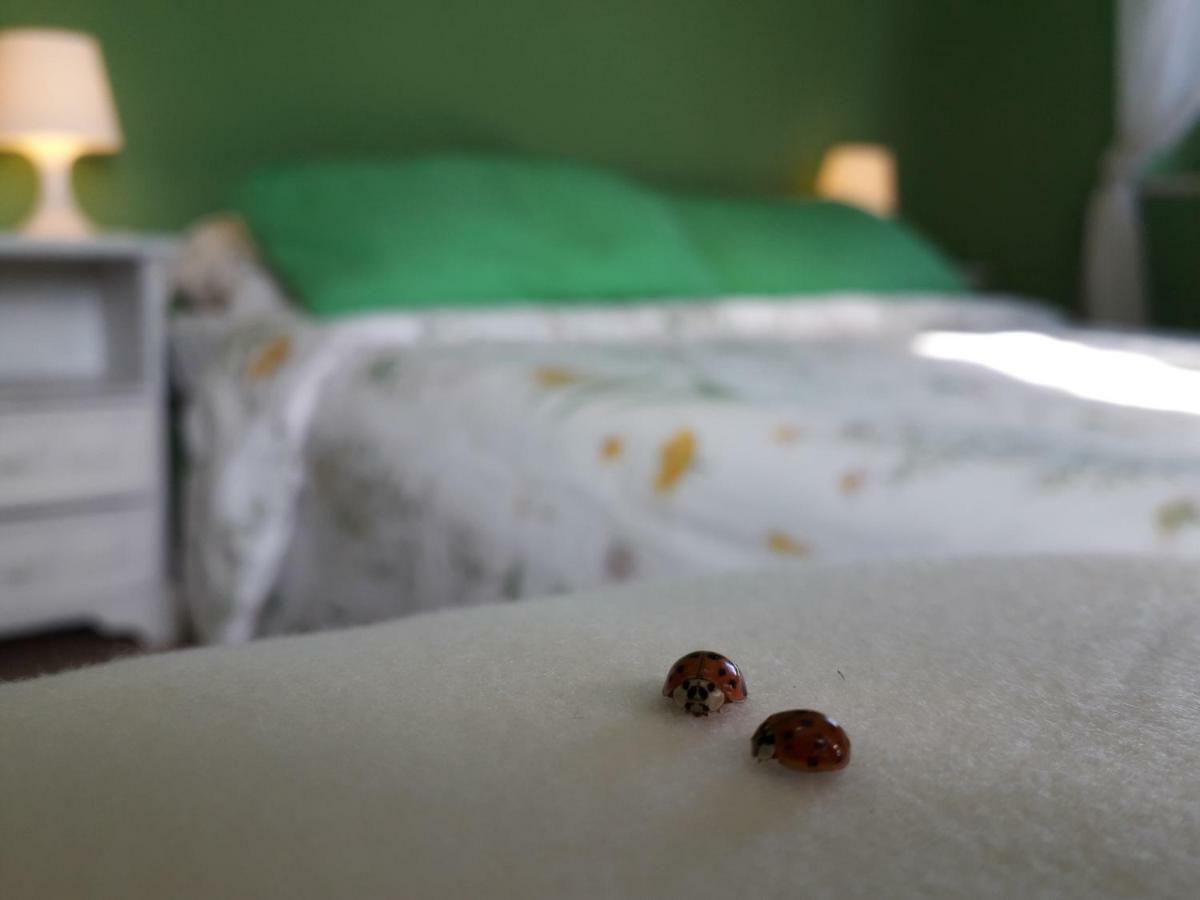 Alle Preci Country House Santa Restituta Екстер'єр фото