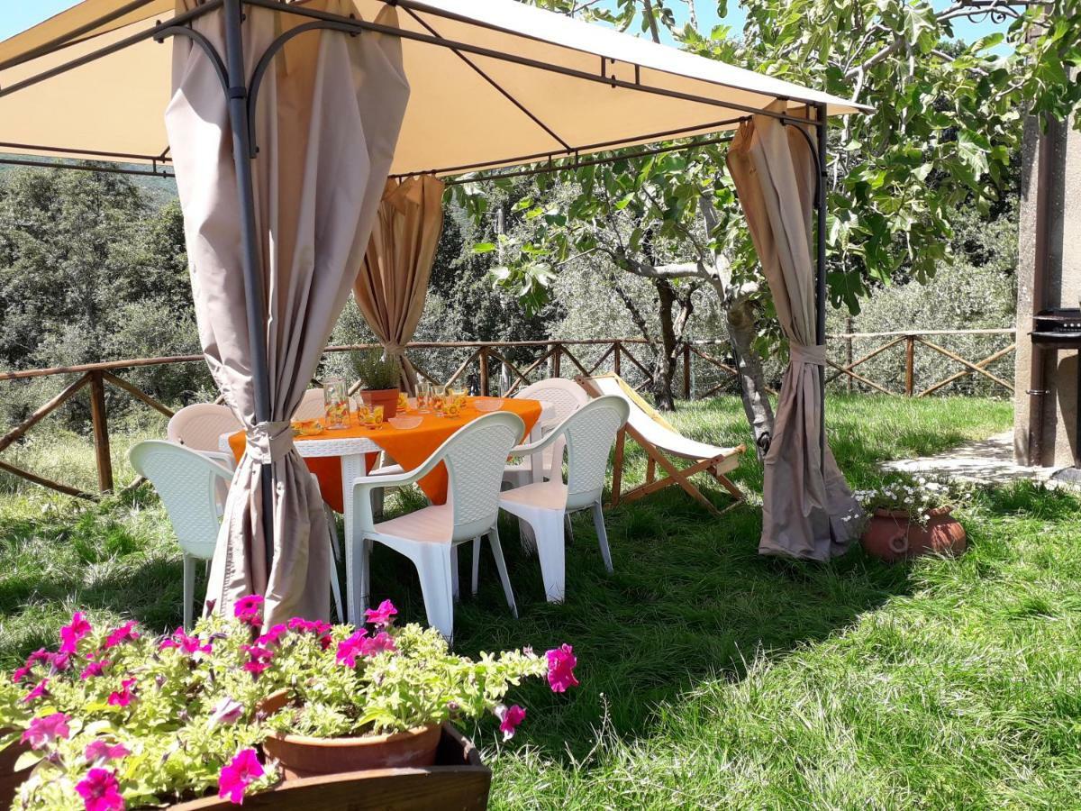 Alle Preci Country House Santa Restituta Екстер'єр фото