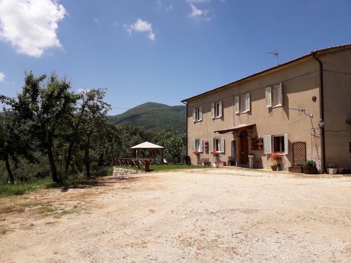 Alle Preci Country House Santa Restituta Екстер'єр фото