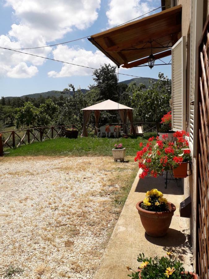 Alle Preci Country House Santa Restituta Екстер'єр фото