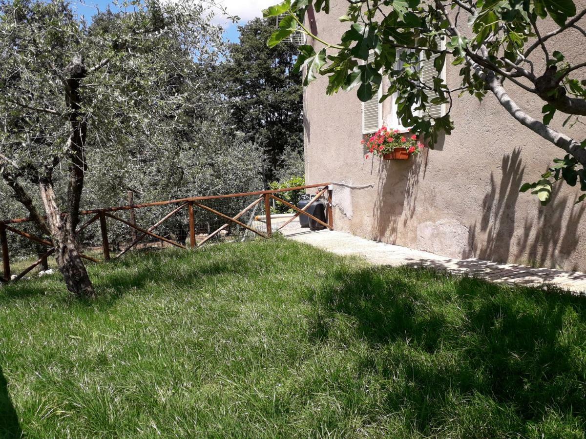 Alle Preci Country House Santa Restituta Екстер'єр фото