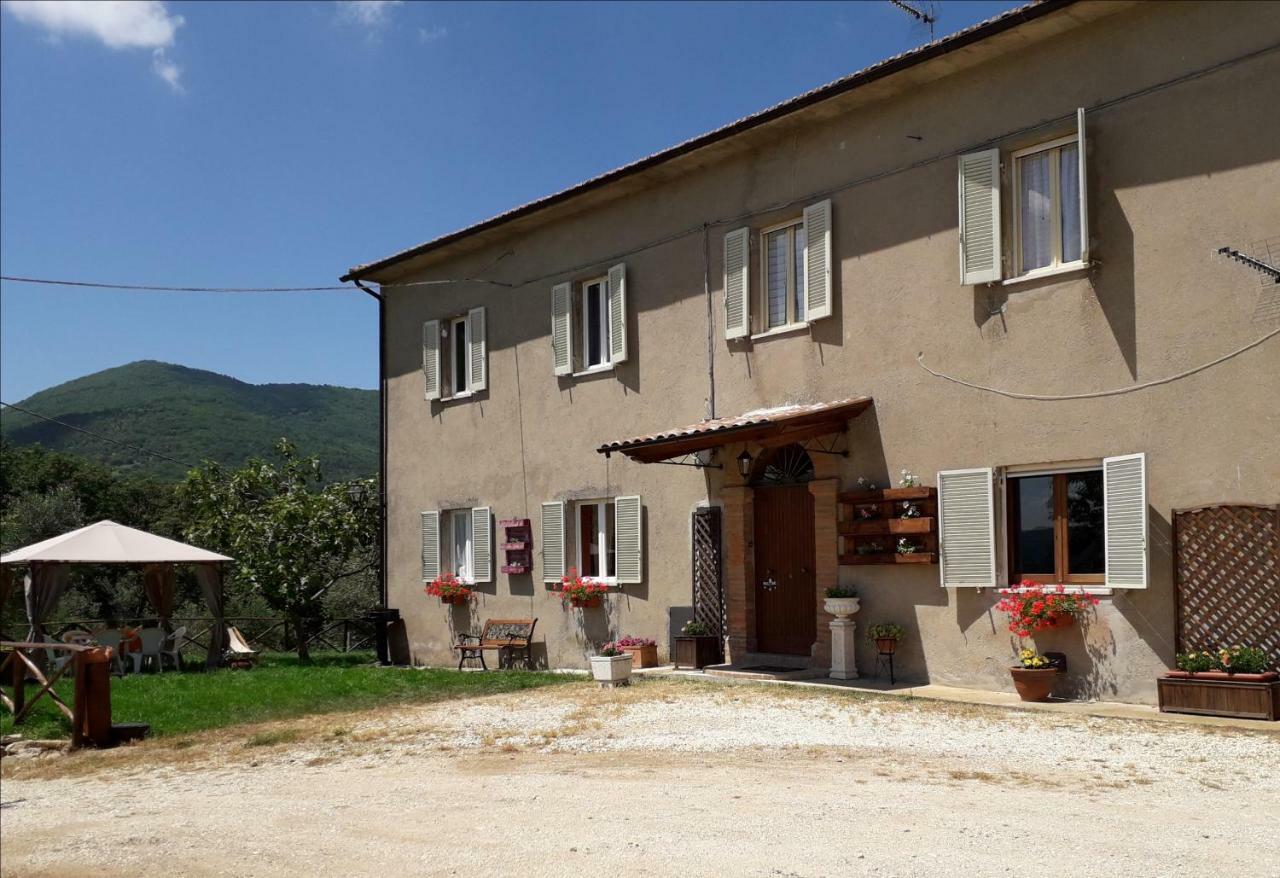 Alle Preci Country House Santa Restituta Екстер'єр фото