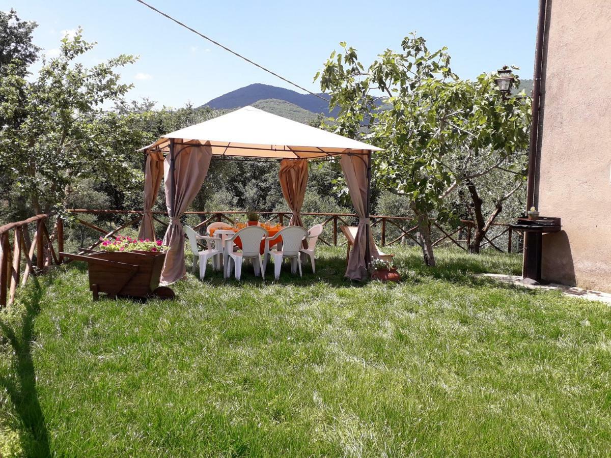 Alle Preci Country House Santa Restituta Екстер'єр фото